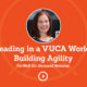 Leading in a VUCA World: Building Agility Webinar FarWell On-Demand Webinar